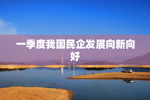 一季度我国民企发展向新向好