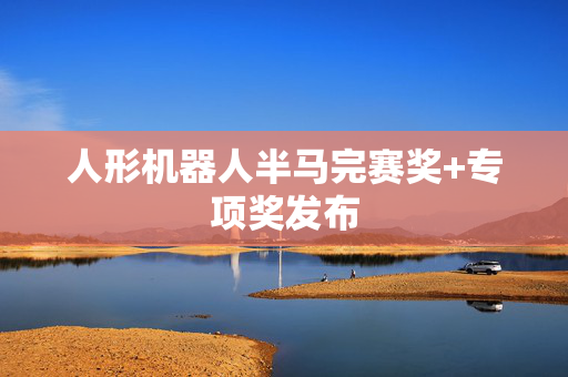 人形机器人半马完赛奖+专项奖发布