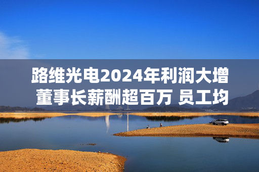 路维光电2024年利润大增 董事长薪酬超百万 员工均薪亦涨