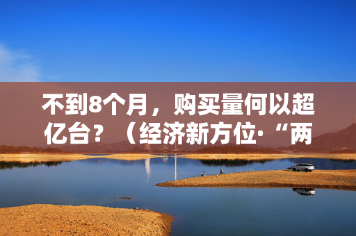 不到8个月，购买量何以超亿台？（经济新方位·“两新”政策发力显效）