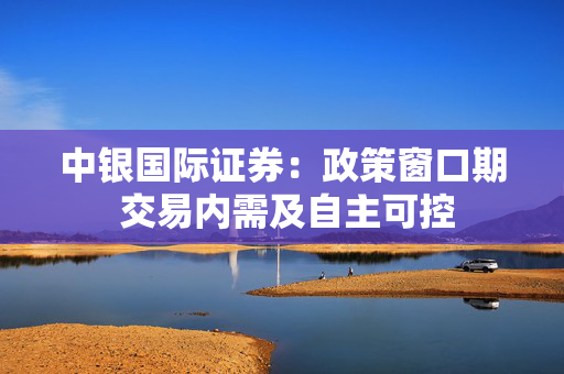 中银国际证券：政策窗口期 交易内需及自主可控