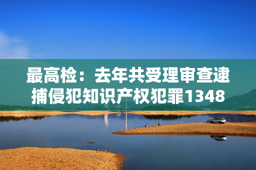 最高检：去年共受理审查逮捕侵犯知识产权犯罪13486人