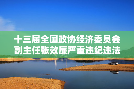 十三届全国政协经济委员会副主任张效廉严重违纪违法被开除党籍