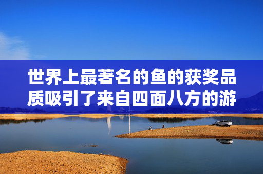 世界上最著名的鱼的获奖品质吸引了来自四面八方的游客