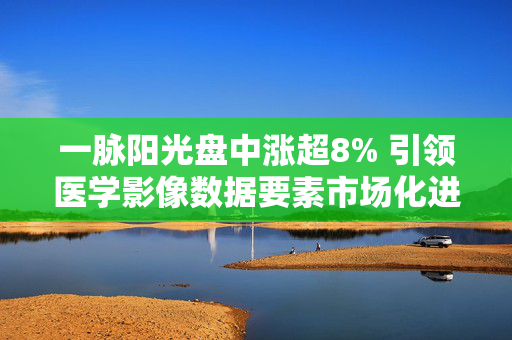 一脉阳光盘中涨超8% 引领医学影像数据要素市场化进程迈入新阶段