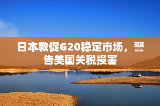 日本敦促G20稳定市场，警告美国关税损害