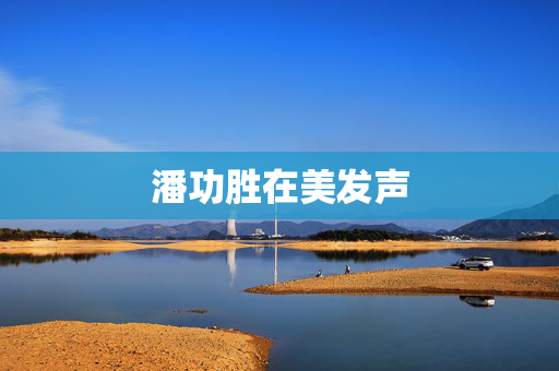 潘功胜在美发声