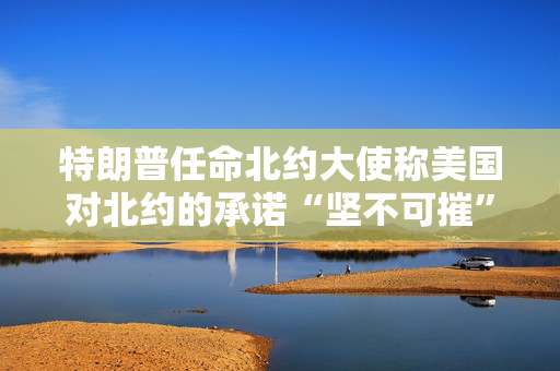 特朗普任命北约大使称美国对北约的承诺“坚不可摧”