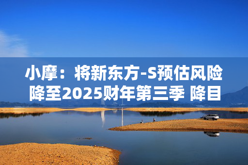 小摩：将新东方-S预估风险降至2025财年第三季 降目标价至38港元