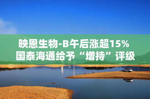 映恩生物-B午后涨超15% 国泰海通给予“增持”评级