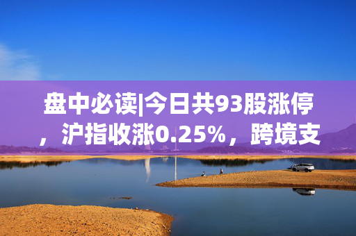 盘中必读|今日共93股涨停，沪指收涨0.25%，跨境支付、物流概念集体走高