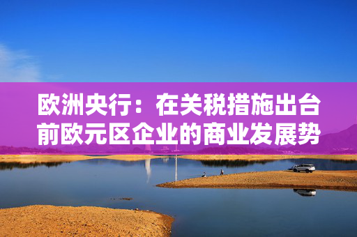 欧洲央行：在关税措施出台前欧元区企业的商业发展势头有所改善