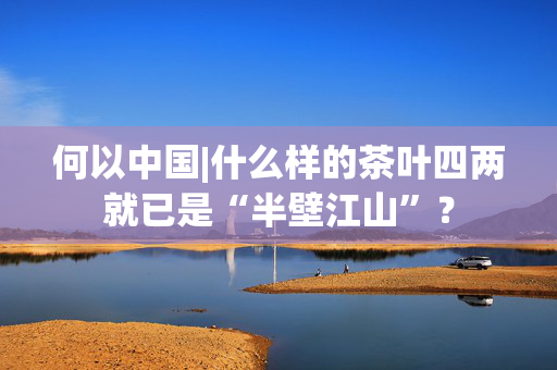 何以中国|什么样的茶叶四两就已是“半壁江山”？