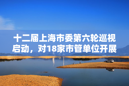 十二届上海市委第六轮巡视启动，对18家市管单位开展常规巡视