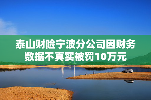 泰山财险宁波分公司因财务数据不真实被罚10万元