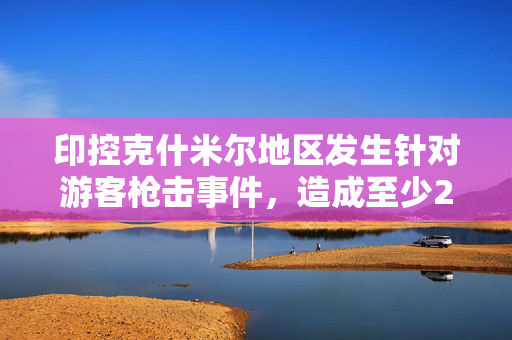 印控克什米尔地区发生针对游客枪击事件，造成至少25人丧生