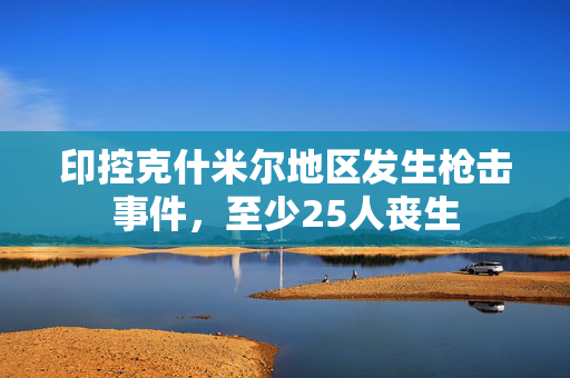 印控克什米尔地区发生枪击事件，至少25人丧生