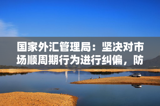 国家外汇管理局：坚决对市场顺周期行为进行纠偏，防止汇率超调风险