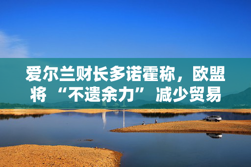 爱尔兰财长多诺霍称，欧盟将 “不遗余力” 减少贸易相关的不确定性