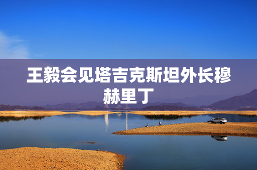 王毅会见塔吉克斯坦外长穆赫里丁