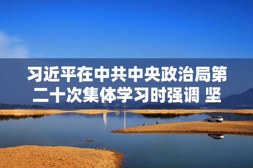 习近平在中共中央政治局第二十次集体学习时强调 坚持自立自强 突出应用导向 推动人工智能健康有序发展