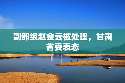 副部级赵金云被处理，甘肃省委表态