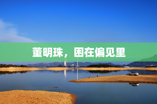 董明珠，困在偏见里
