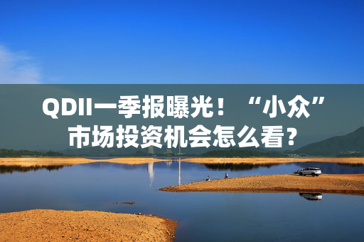 QDII一季报曝光！“小众”市场投资机会怎么看？