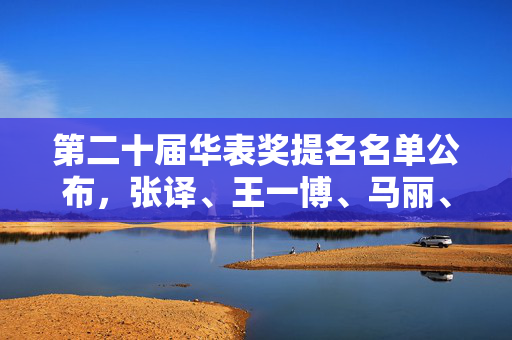 第二十届华表奖提名名单公布，张译、王一博、马丽、郭帆等入围