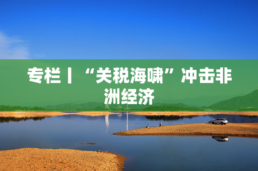 专栏丨“关税海啸”冲击非洲经济