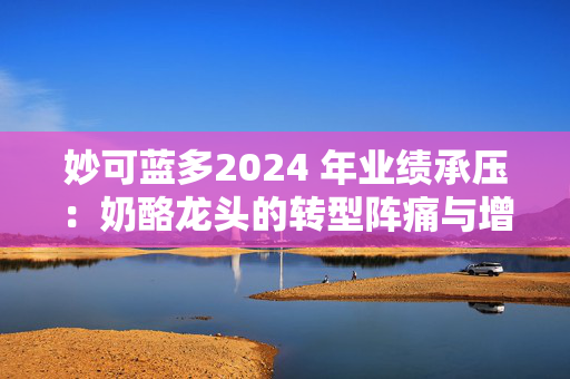 妙可蓝多2024 年业绩承压：奶酪龙头的转型阵痛与增长曙光
