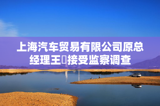 上海汽车贸易有限公司原总经理王璟接受监察调查