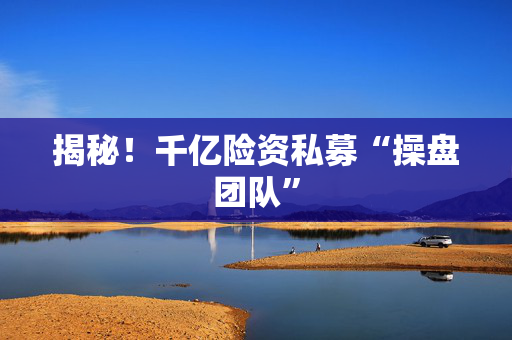 揭秘！千亿险资私募“操盘团队”