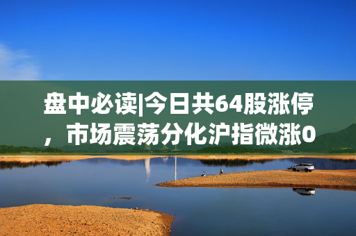盘中必读|今日共64股涨停，市场震荡分化沪指微涨0.03%，电力、银行表现活跃