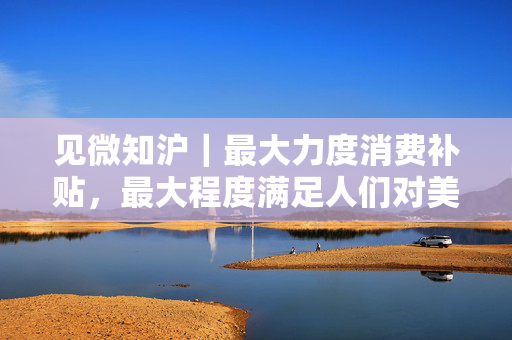 见微知沪｜最大力度消费补贴，最大程度满足人们对美好生活的向往