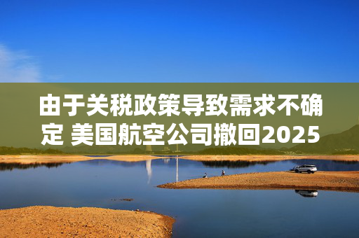 由于关税政策导致需求不确定 美国航空公司撤回2025年财务预测