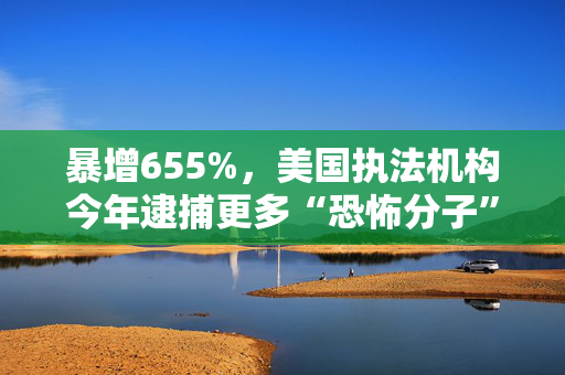 暴增655%，美国执法机构今年逮捕更多“恐怖分子”