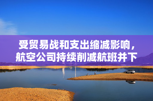 受贸易战和支出缩减影响，航空公司持续削减航班并下调盈利预期