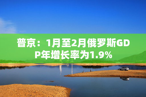 普京：1月至2月俄罗斯GDP年增长率为1.9%