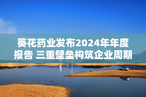 葵花药业发布2024年年度报告 三重壁垒构筑企业周期韧性