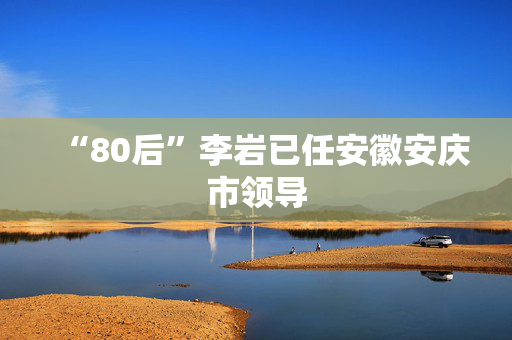 “80后”李岩已任安徽安庆市领导