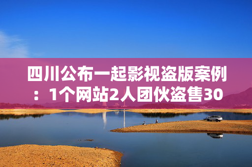 四川公布一起影视盗版案例：1个网站2人团伙盗售30多万部