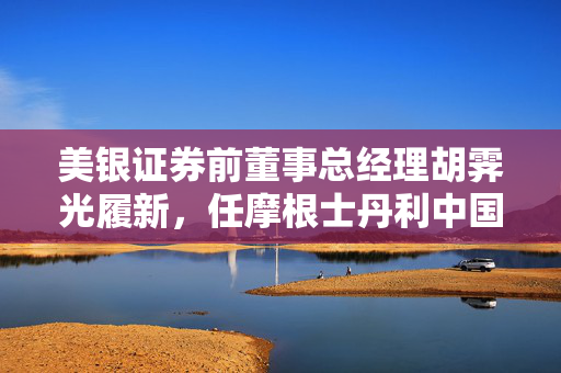 美银证券前董事总经理胡霁光履新，任摩根士丹利中国区副主席
