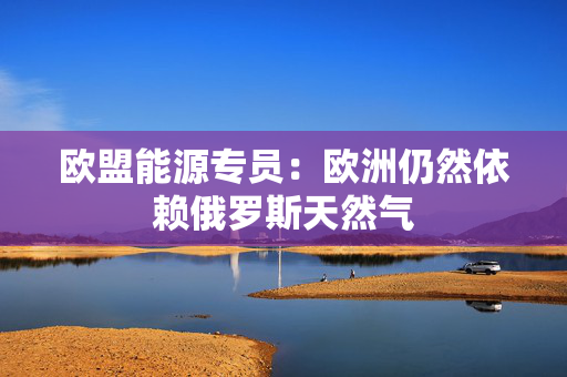 欧盟能源专员：欧洲仍然依赖俄罗斯天然气