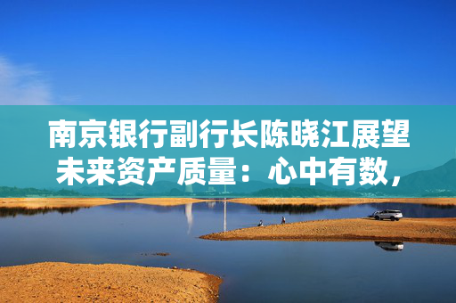 南京银行副行长陈晓江展望未来资产质量：心中有数，手中有量，脚下有力