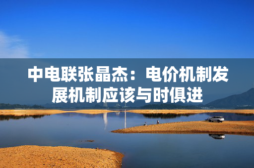 中电联张晶杰：电价机制发展机制应该与时俱进