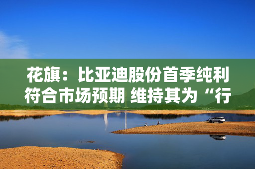 花旗：比亚迪股份首季纯利符合市场预期 维持其为“行业首选”