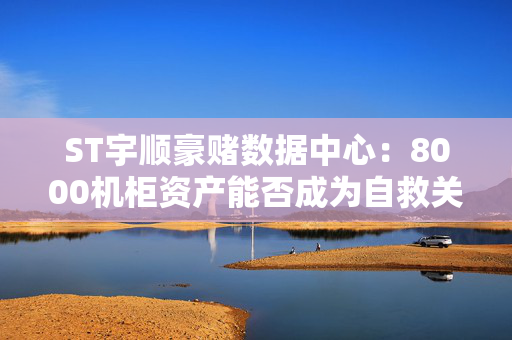ST宇顺豪赌数据中心：8000机柜资产能否成为自救关键？