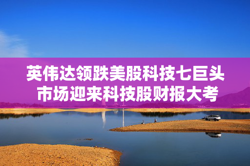 英伟达领跌美股科技七巨头 市场迎来科技股财报大考