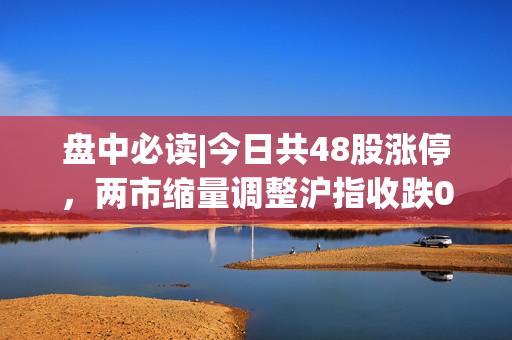 盘中必读|今日共48股涨停，两市缩量调整沪指收跌0.2%，电力、算力概念股逆势走高